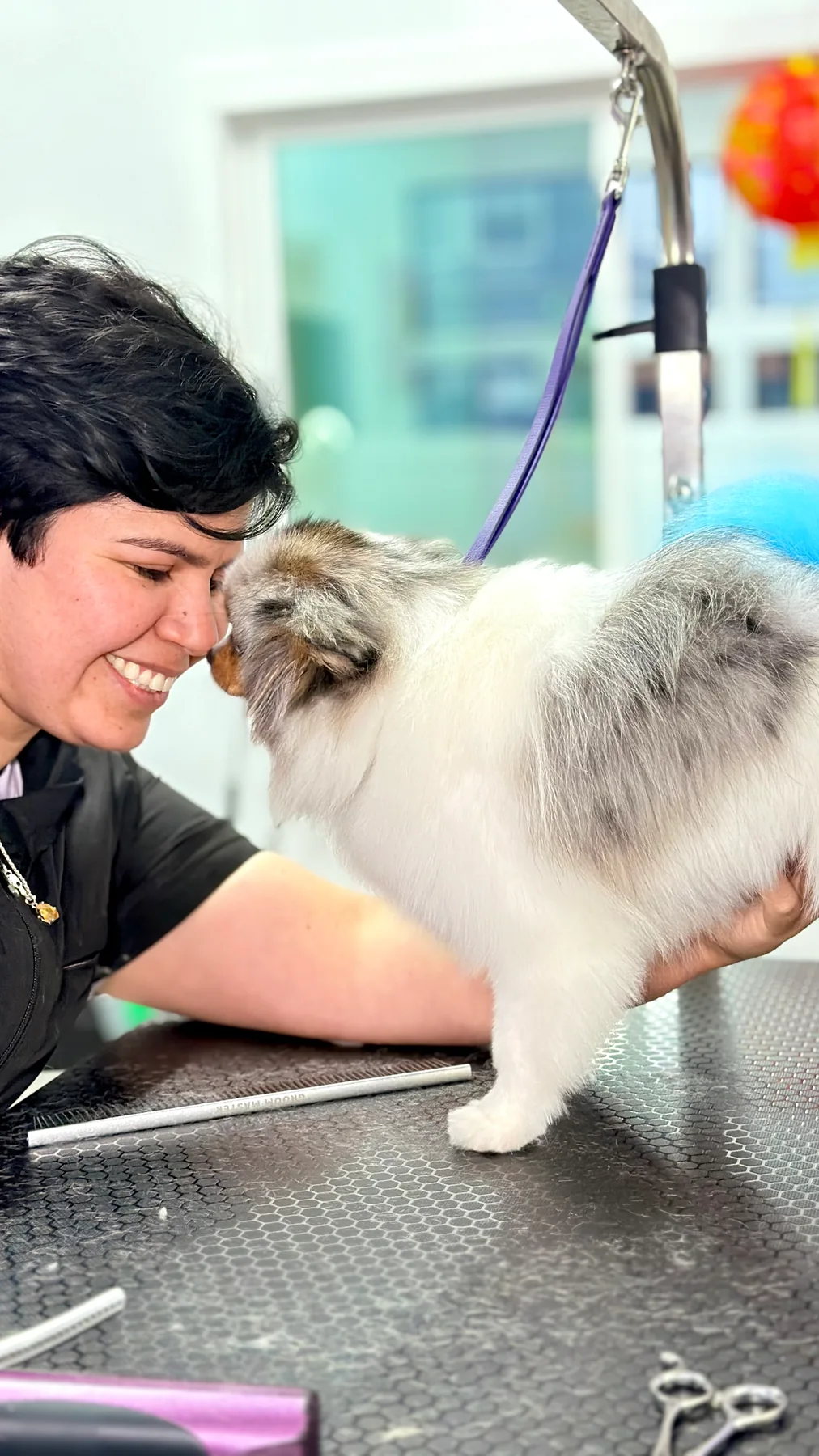 A dog receiving care at The Pawffice grooming salon