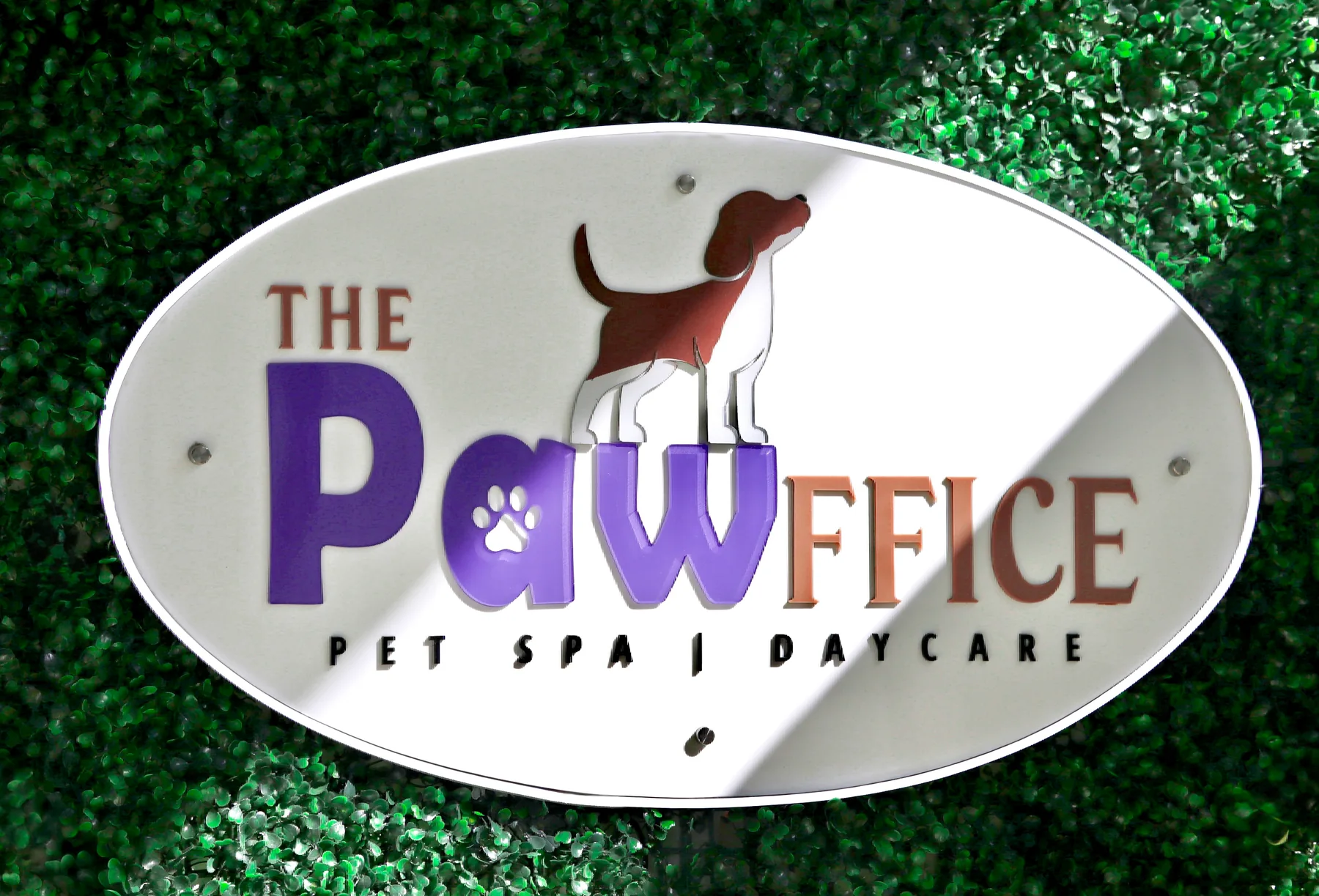 The Pawffice sign on a green garden wall